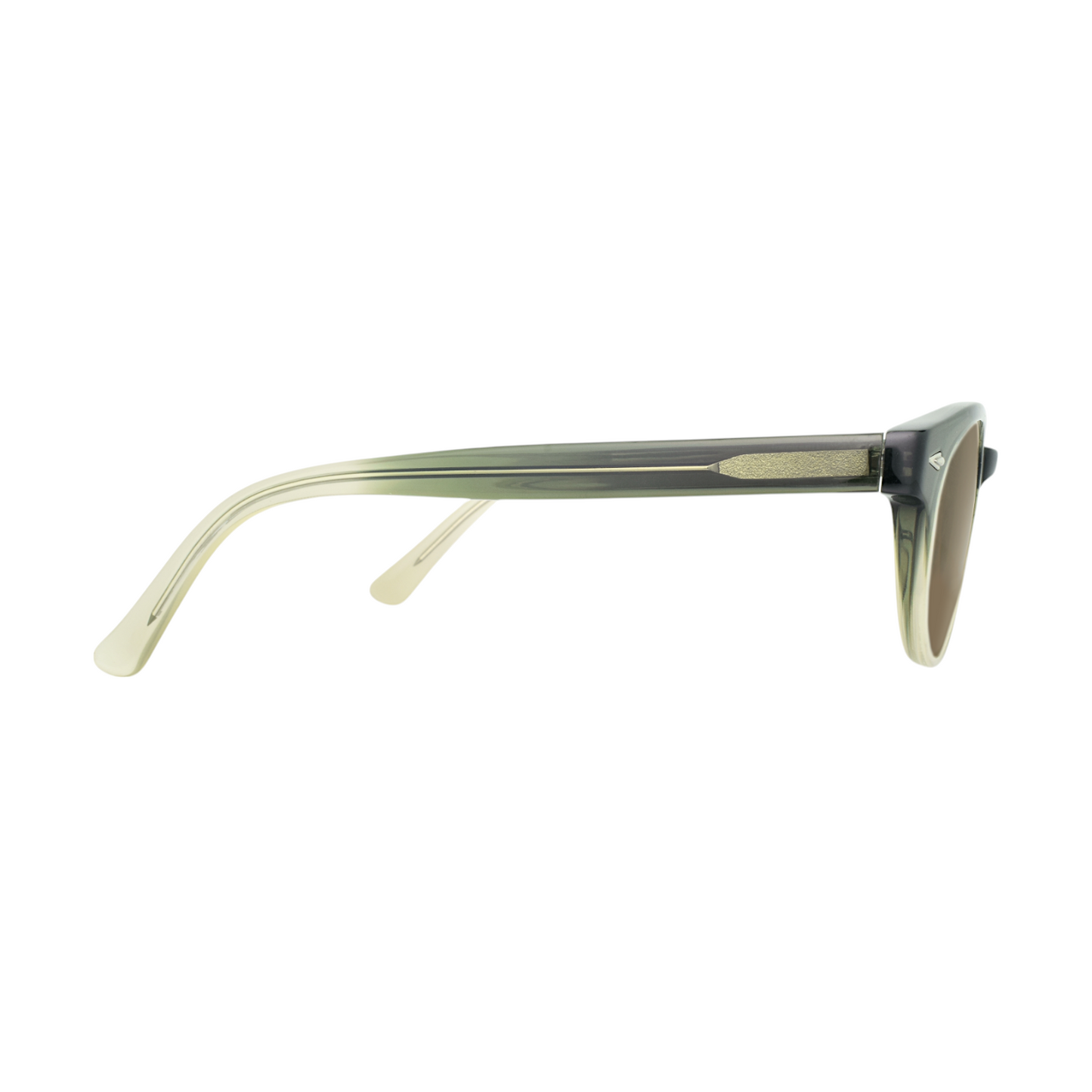 EGG Women Ovalish Sunglass