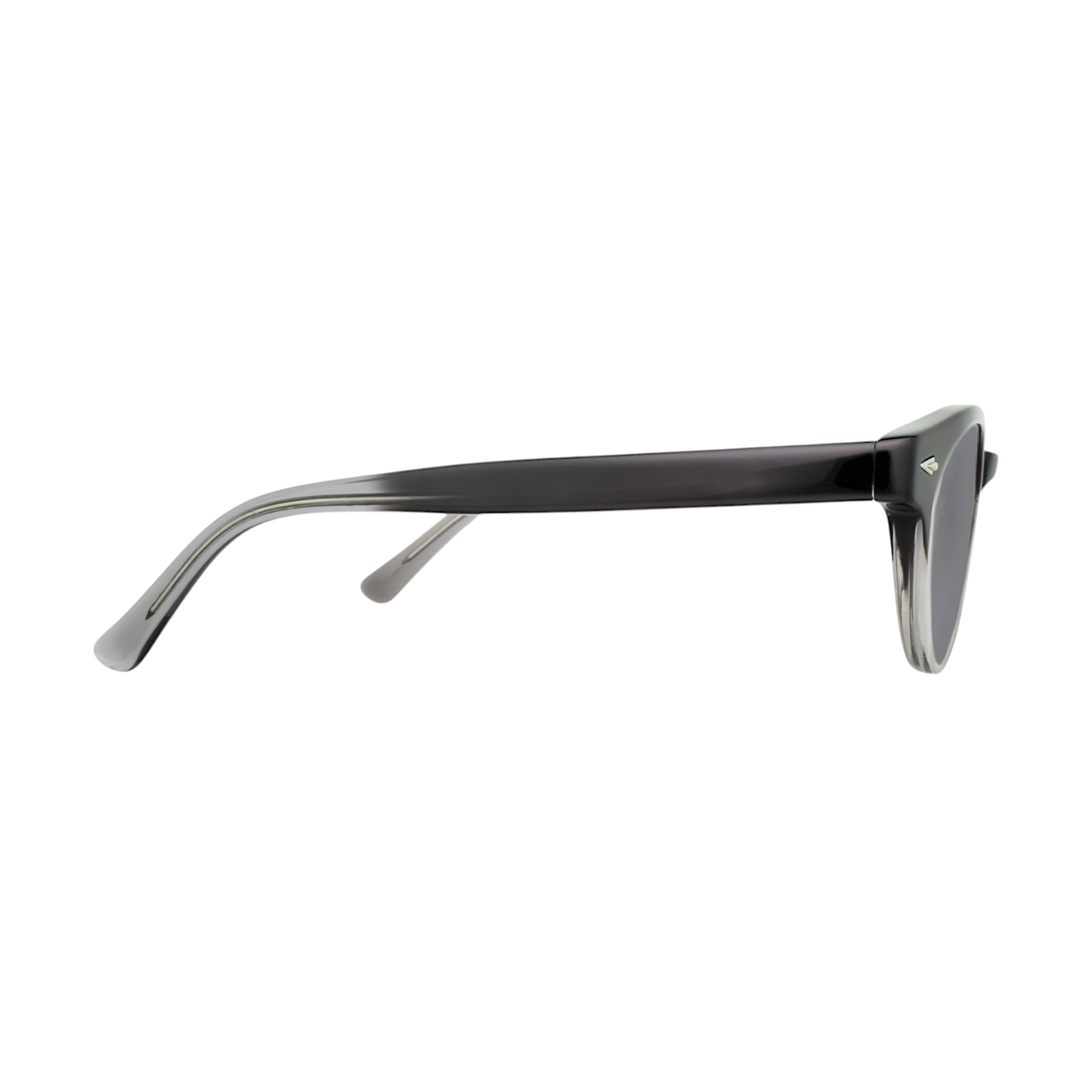 EGG Women Ovalish Sunglass