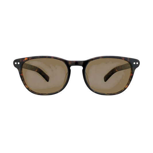 EGG Rectangle Brown Multicolour double bridge Frame