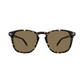 EGG Havana Frame