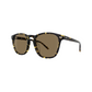 EGG Havana Frame