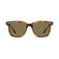 EGG Havana Frame