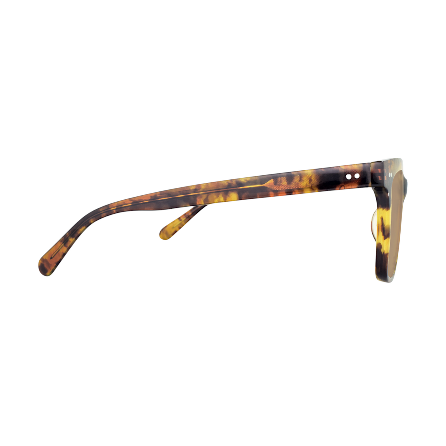 EGG Havana Frame